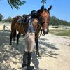 riley_equestrian8