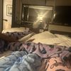 brie0552jtv