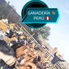 wwwganaderia1886