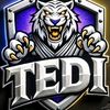 tedi8813