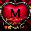 user2559590314780