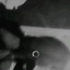 hansi2448
