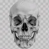 light.skull8