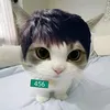 eliias_costaa