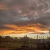 bri381795
