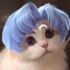 hhkakiywe