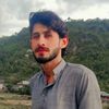 syed.faisal.gilla3