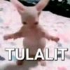 usernamemiye