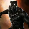 schwarzerpanther7000
