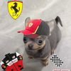 herveperceval