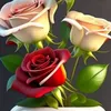 md.harun.ali10