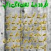 musa.ahmed282