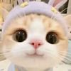 zainal.is.real