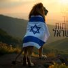 proud_jewfrfr