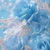 user195797913814