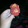 shadiya8905
