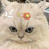 almira_123_