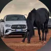 bader__096