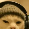 yo4ujay