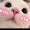 ngcanhnguynth039