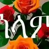 user8827934739131