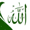 user6013041558035