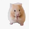 yami.quirog