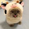 tedsan._