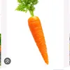 carrotlop