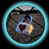 my.for.you.tiktok5