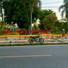 syawal01574