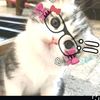 azizah_667