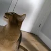 idkwhattopitherelolhdhd