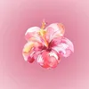 pituca_541