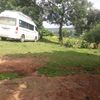 seydabedul