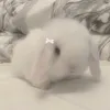 corpsemumu