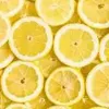 lemon.1400