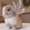 girlrabbit942