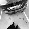 wepas86