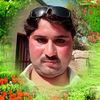 bakht.ali6333