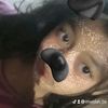 imeldah_56