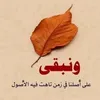 user67257534907304