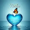 nethu_p08