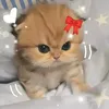 ishangcutieeeeeee