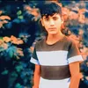 ri.bsi