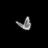afnan_1229