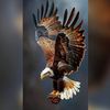 haldoor_moha
