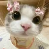 lillytiktoker1