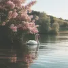 ﮼رنش🩷.