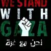 mena.sayed38